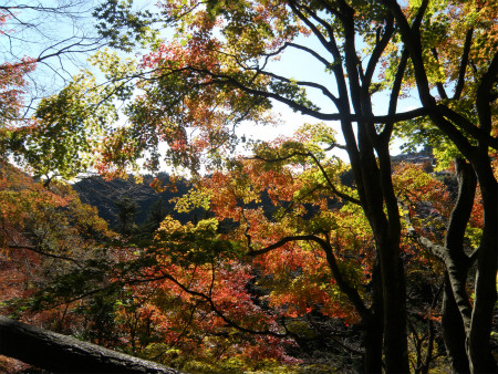 2012112502.jpg