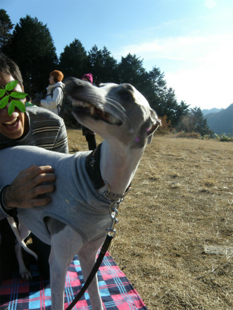 2012112528.jpg