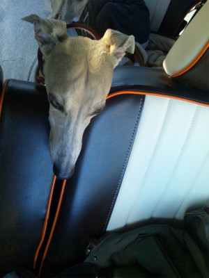 2012121601.jpg