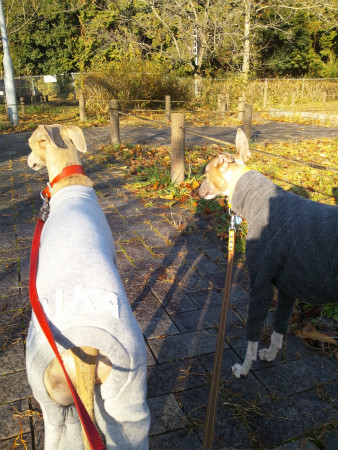 2012121602.jpg