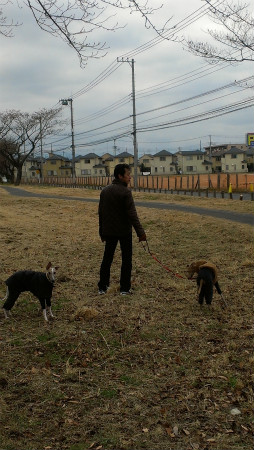 2012122902.jpg