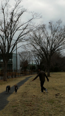 2012122903.jpg