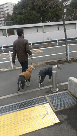 2012122904.jpg