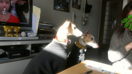 2013010105.jpg