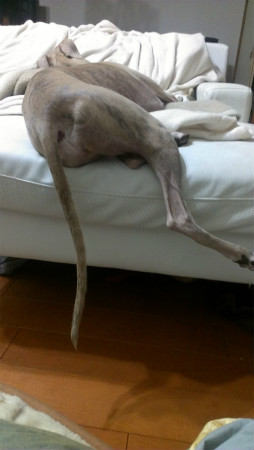 2013010207.jpg