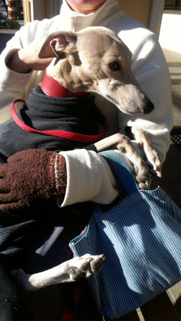2013010302.jpg