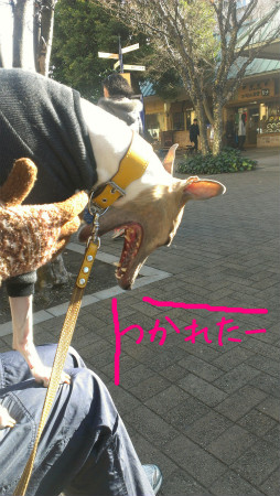 2013010303.jpg
