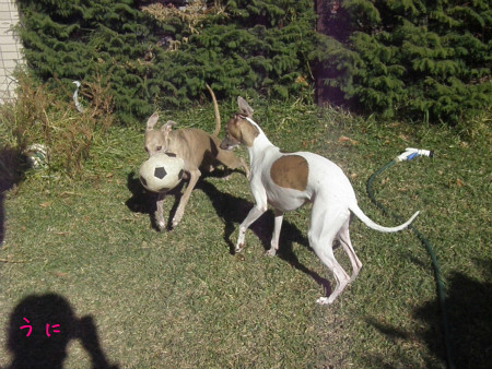 2013010305.jpg