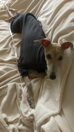 2013010502.jpg