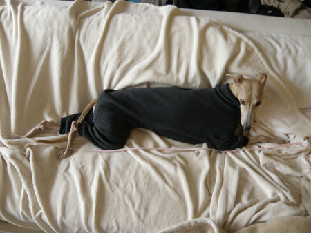 2013010503.jpg