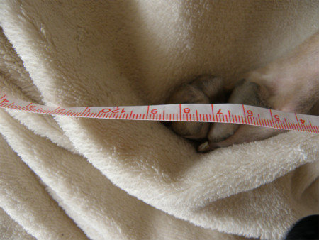 2013010504.jpg