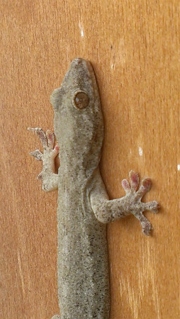 2013010601.jpg