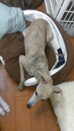 2013010603.jpg