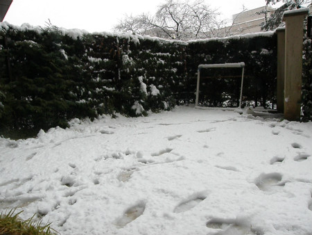 2013011402.jpg
