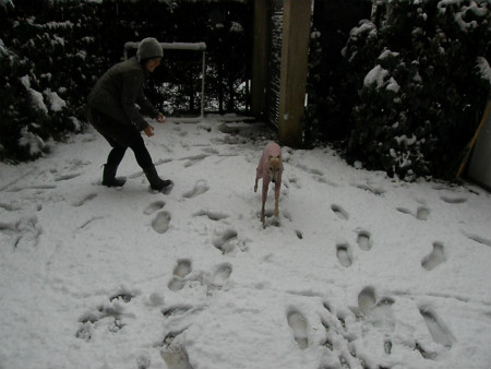 2013011404.jpg