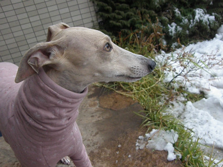 2013011405.jpg