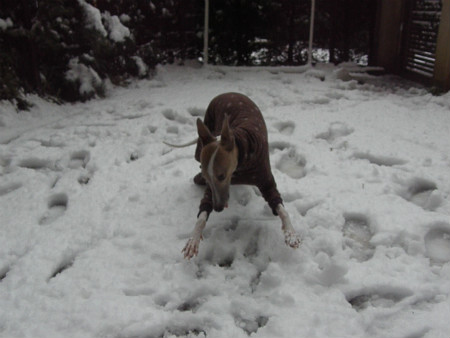 2013011406.jpg