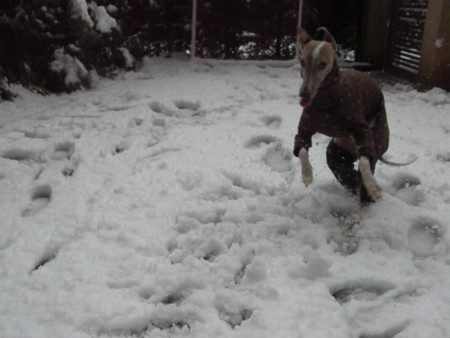2013011407.jpg