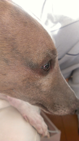 2013011602.jpg