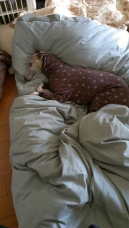 2013011603.jpg