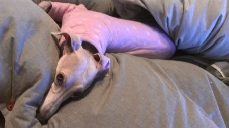 2013012004.jpg