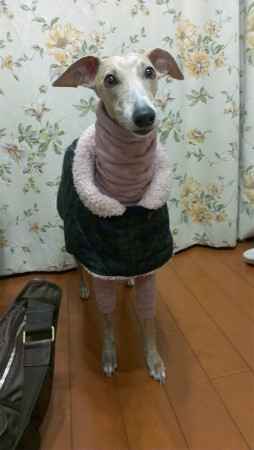 2013012401.jpg