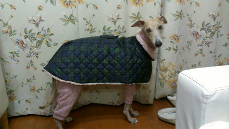 2013012402.jpg