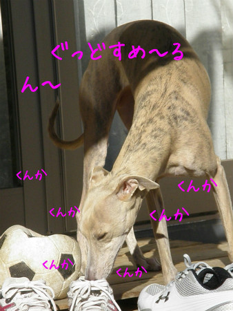 2013020310.jpg