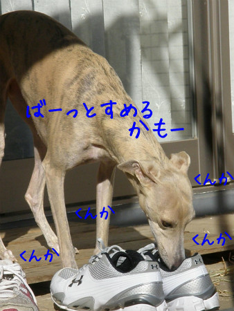 2013020311.jpg