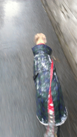 2013020601.jpg