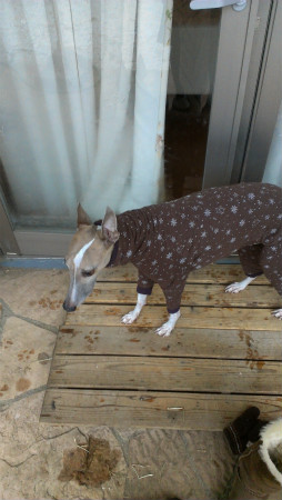 2013020602.jpg