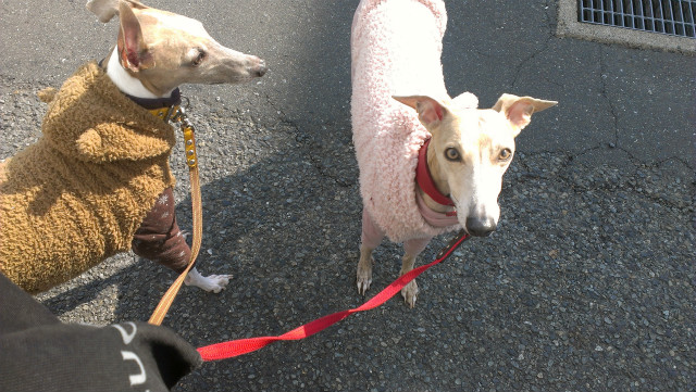 2013021101.jpg
