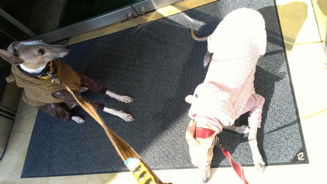 2013021102.jpg