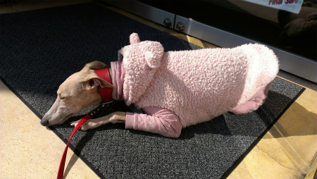 2013021103.jpg