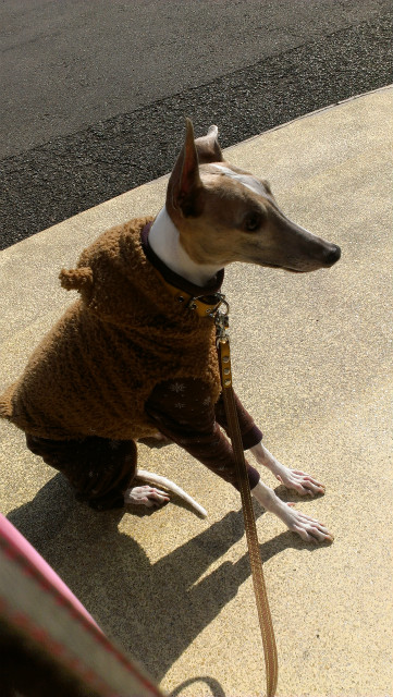 2013021104.jpg