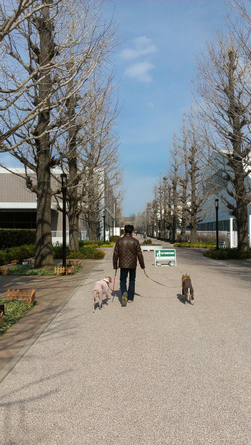 2013021105.jpg