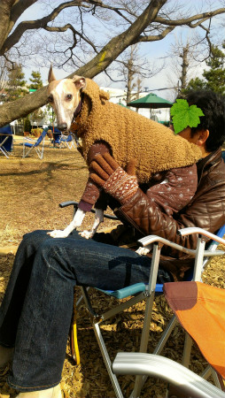 2013021112.jpg