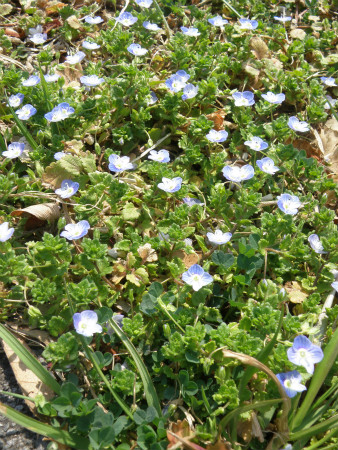 2013031001.jpg