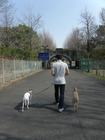 2013031002.jpg