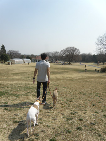 2013031003.jpg