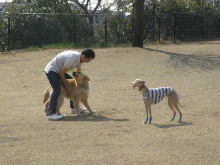 2013031004.jpg