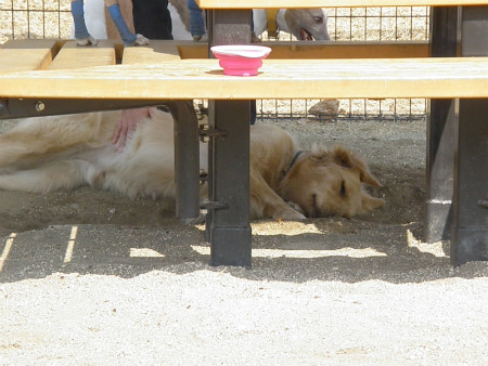 2013031005.jpg