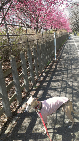 2013031601.jpg