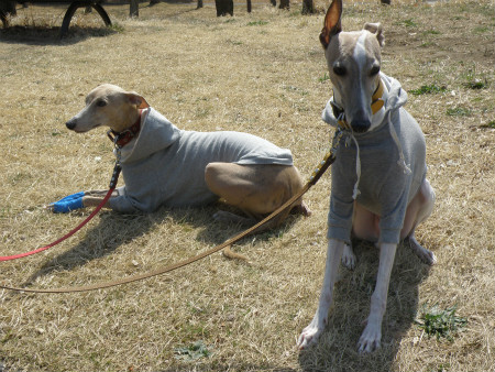 2013031701.jpg