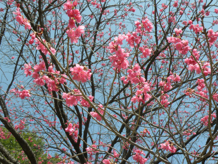 2013031702.jpg