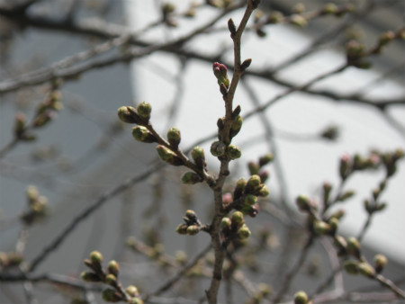 2013031703.jpg