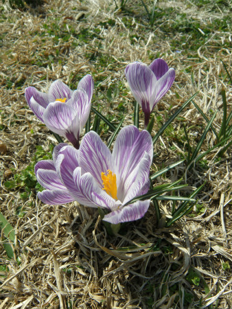 2013031704.jpg