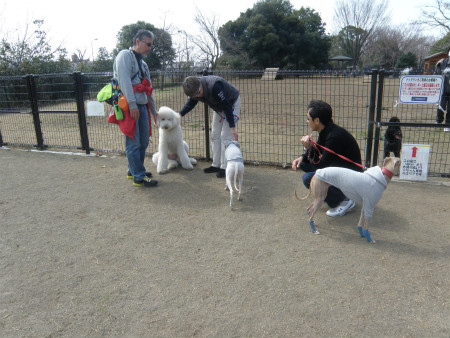 2013031706.jpg