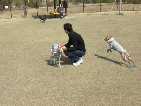 2013031707.jpg