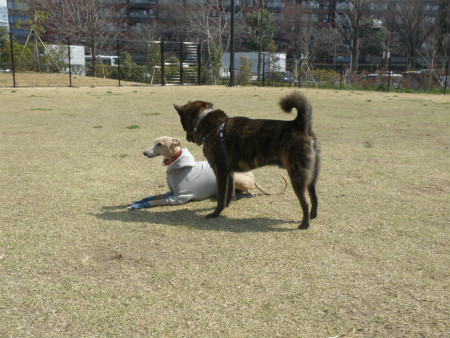 2013031708.jpg